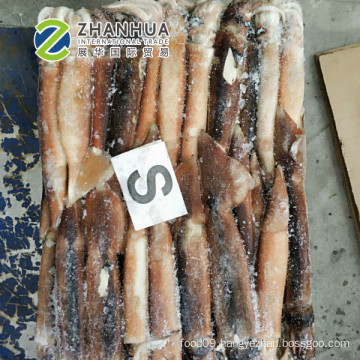 Frozen Illex , Squid for Sale S